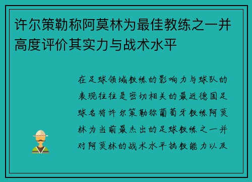 许尔策勒称阿莫林为最佳教练之一并高度评价其实力与战术水平